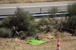 安全第一🙏若塔车祸公路限速120公里，调查显示车速或超140km/h